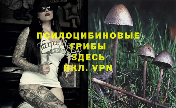 марки lsd Абаза