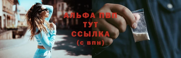 mdpv Новодвинск