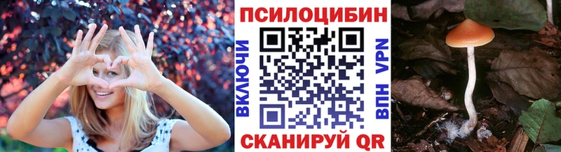 Псилоцибиновые грибы MAGIC MUSHROOMS купить наркоту мориарти как зайти Ярославль